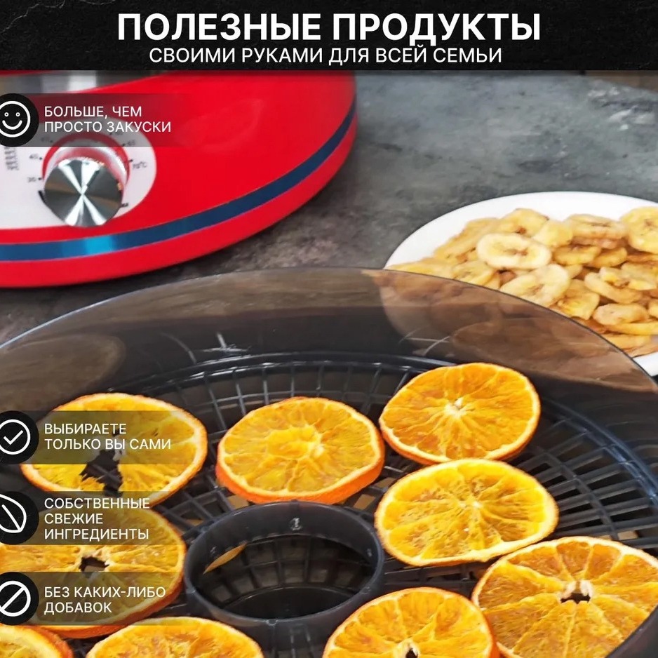 Máquina de secagem de frutas p - Food Dehydrator Snacks avaliação e preço